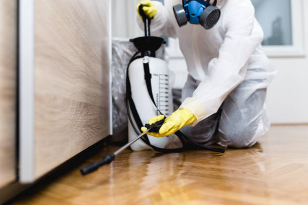 Best Mosquito Control Services  in Home Garden, CA