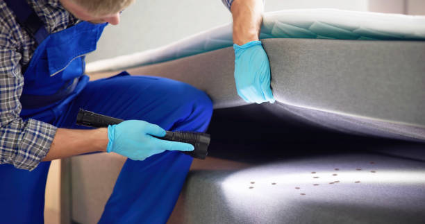 Best Best Pest Control Companies  in Home Garden, CA